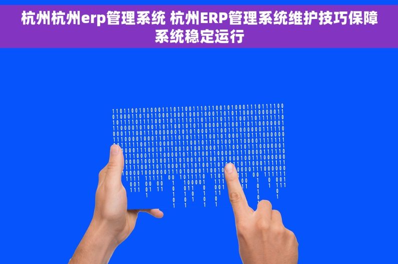 杭州杭州erp管理系统 杭州ERP管理系统维护技巧保障系统稳定运行