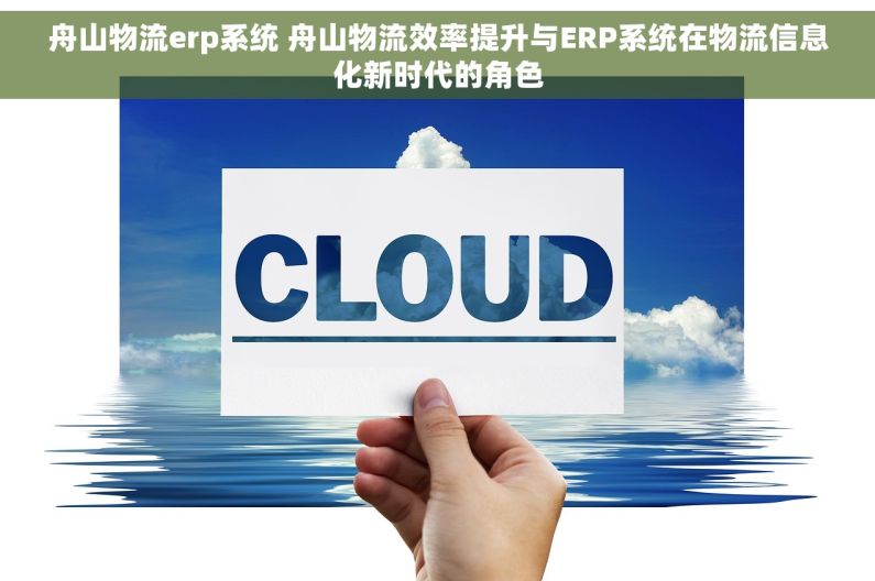舟山物流erp系统 舟山物流效率提升与ERP系统在物流信息化新时代的角色