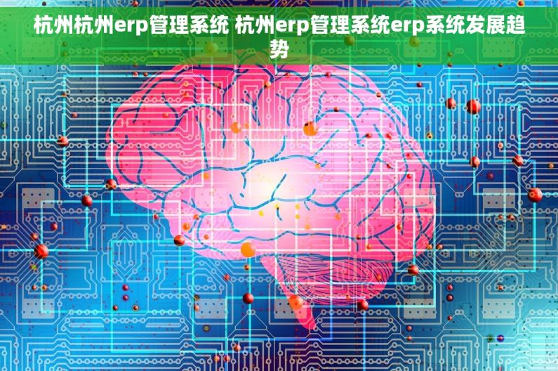 杭州杭州erp管理系统 杭州erp管理系统erp系统发展趋势