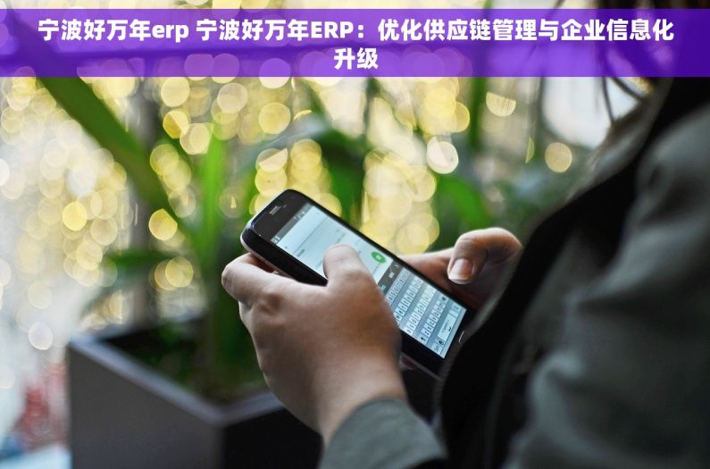 宁波好万年erp 宁波好万年ERP：优化供应链管理与企业信息化升级