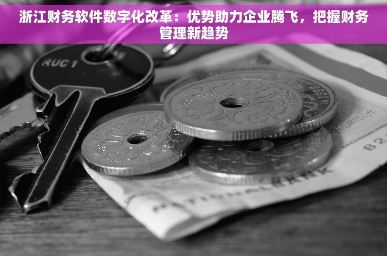 浙江财务软件数字化改革：优势助力企业腾飞，把握财务管理新趋势
