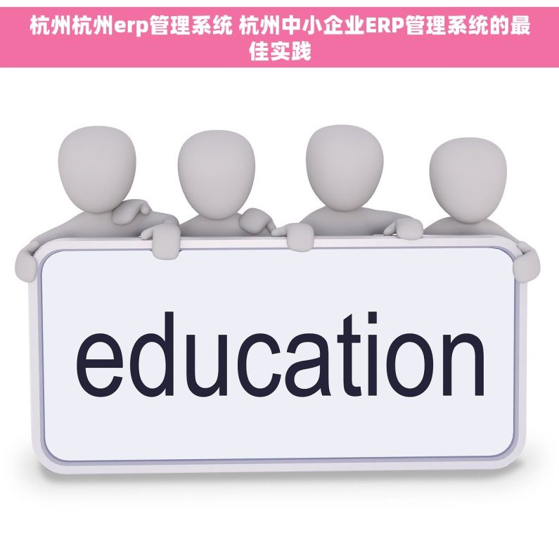杭州杭州erp管理系统 杭州中小企业ERP管理系统的最佳实践