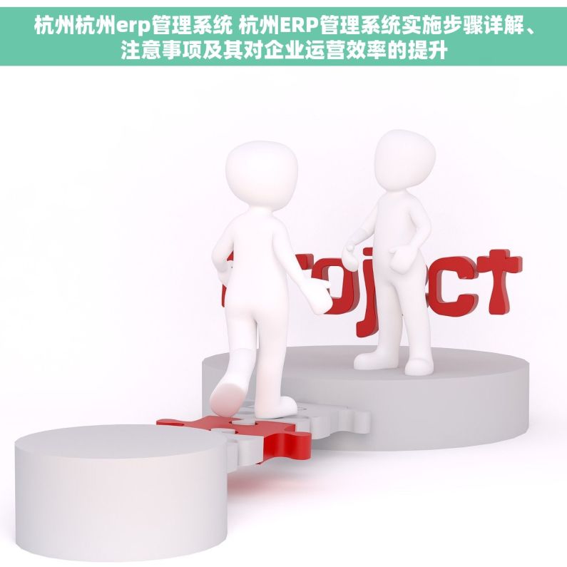 杭州杭州erp管理系统 杭州ERP管理系统实施步骤详解、注意事项及其对企业运营效率的提升