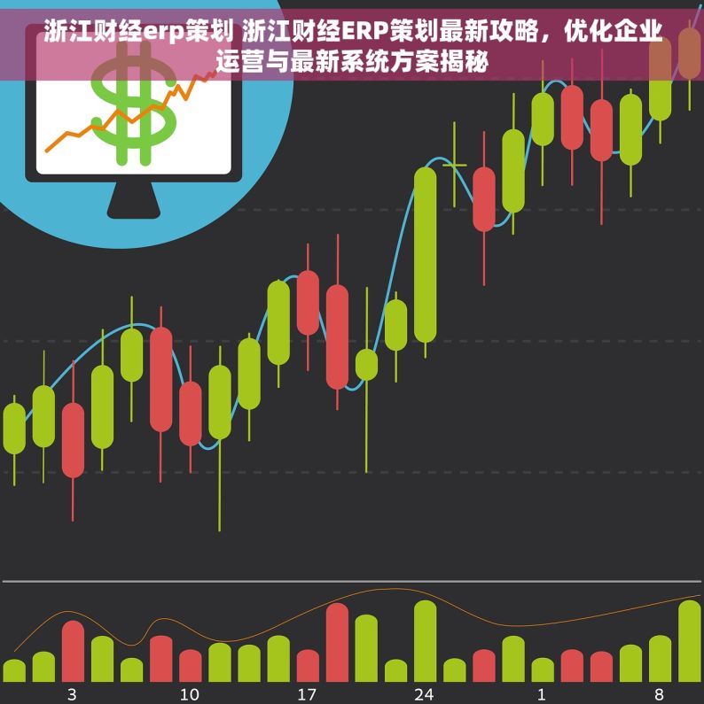 浙江财经erp策划 浙江财经ERP策划最新攻略，优化企业运营与最新系统方案揭秘