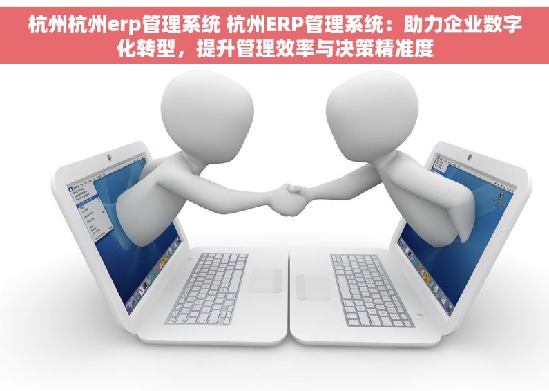 杭州杭州erp管理系统 杭州ERP管理系统：助力企业数字化转型，提升管理效率与决策精准度