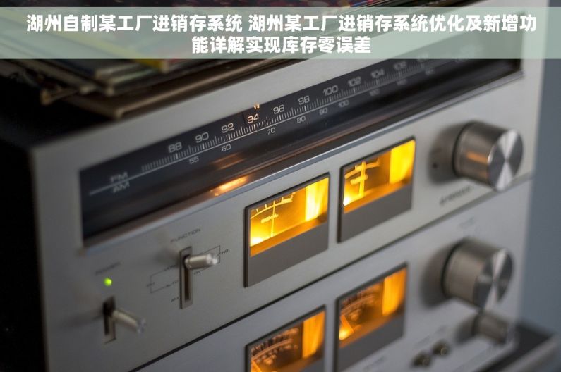 湖州自制某工厂进销存系统 湖州某工厂进销存系统优化及新增功能详解实现库存零误差