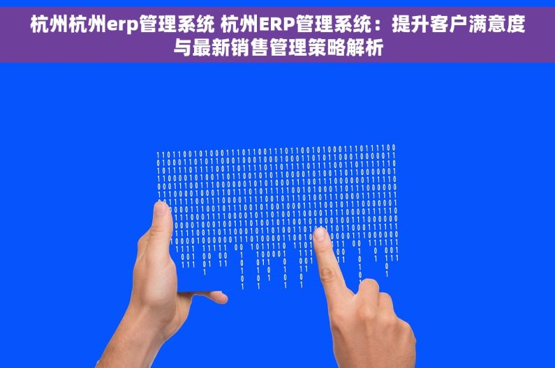杭州杭州erp管理系统 杭州ERP管理系统：提升客户满意度与最新销售管理策略解析