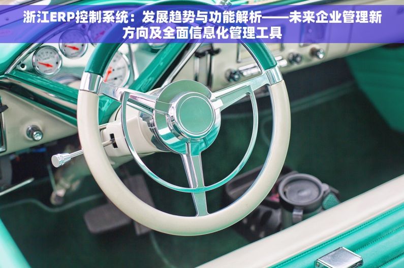 浙江ERP控制系统：发展趋势与功能解析——未来企业管理新方向及全面信息化管理工具