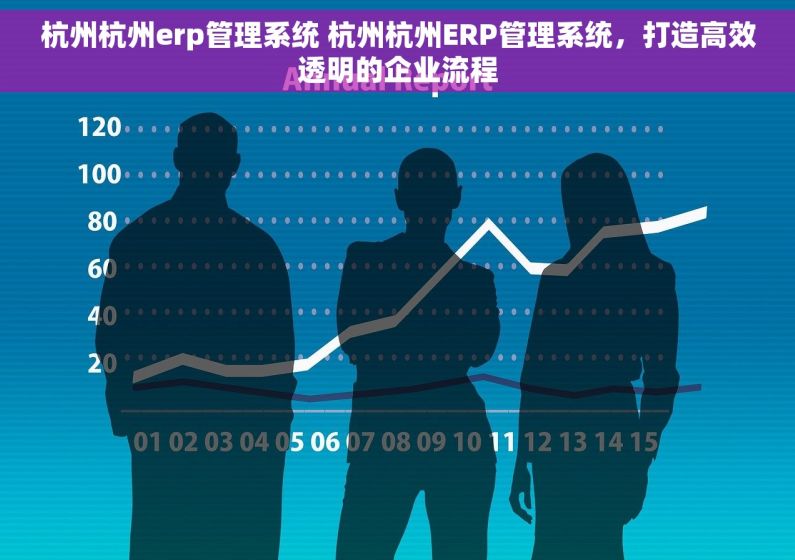 杭州杭州erp管理系统 杭州杭州ERP管理系统，打造高效透明的企业流程