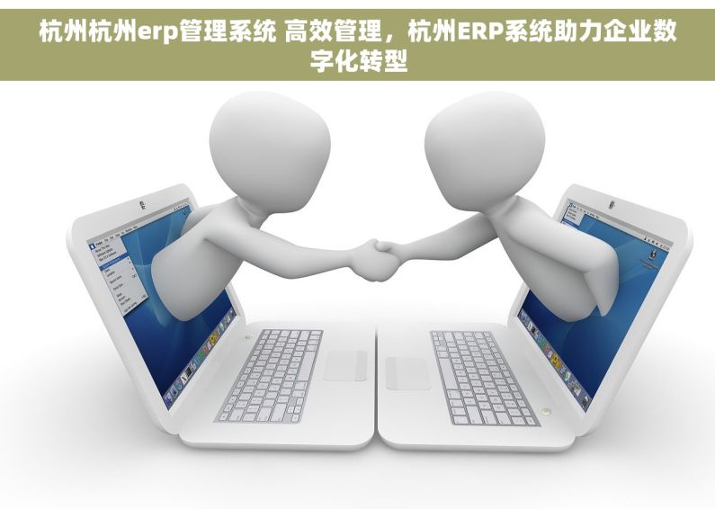杭州杭州erp管理系统 高效管理，杭州ERP系统助力企业数字化转型