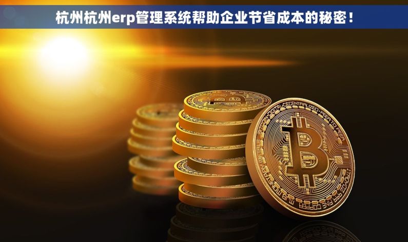 杭州杭州erp管理系统帮助企业节省成本的秘密！