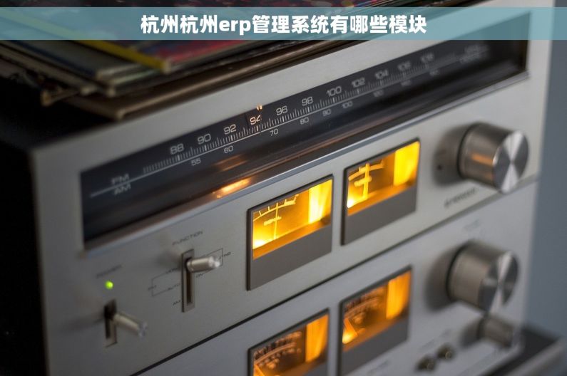 杭州杭州erp管理系统有哪些模块