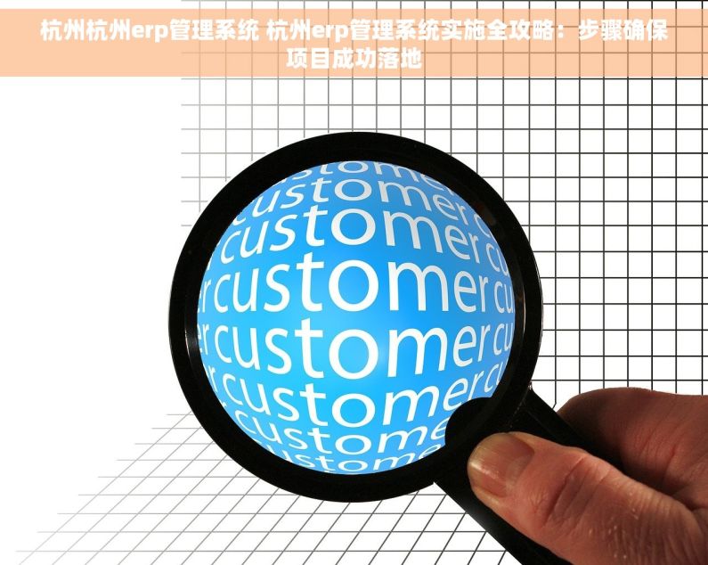 杭州杭州erp管理系统 杭州erp管理系统实施全攻略：步骤确保项目成功落地