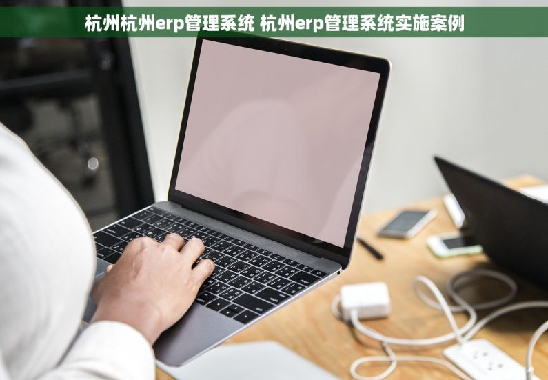 杭州杭州erp管理系统 杭州erp管理系统实施案例