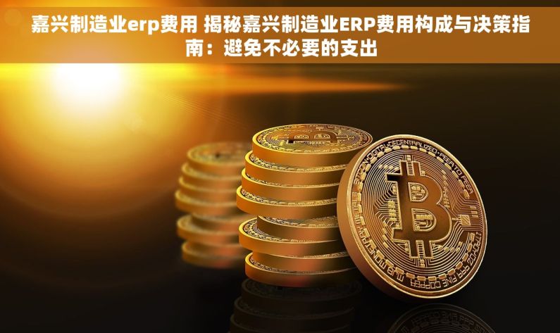 嘉兴制造业erp费用 揭秘嘉兴制造业ERP费用构成与决策指南：避免不必要的支出