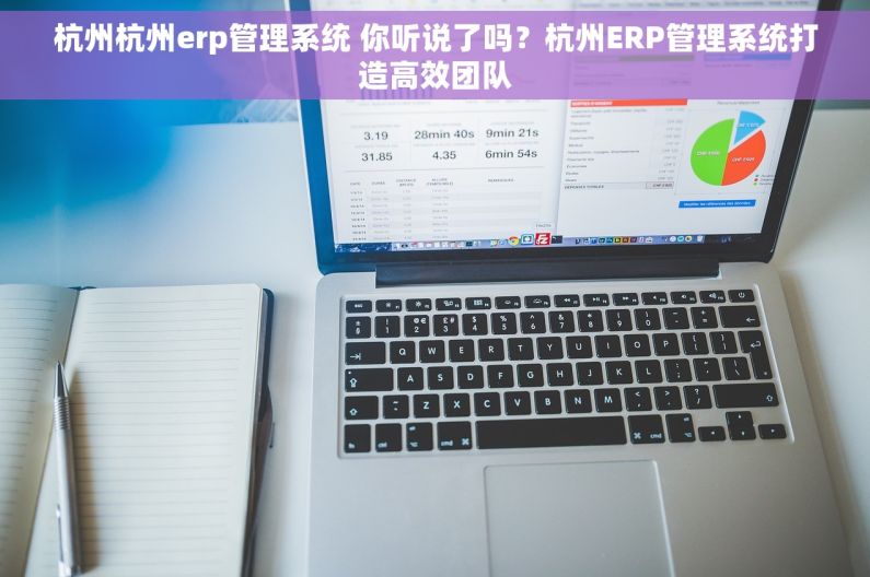 杭州杭州erp管理系统 你听说了吗？杭州ERP管理系统打造高效团队