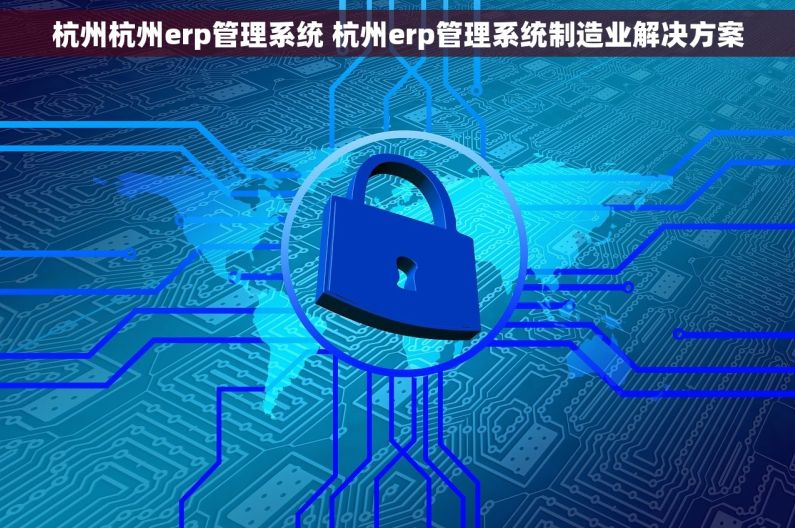 杭州杭州erp管理系统 杭州erp管理系统制造业解决方案