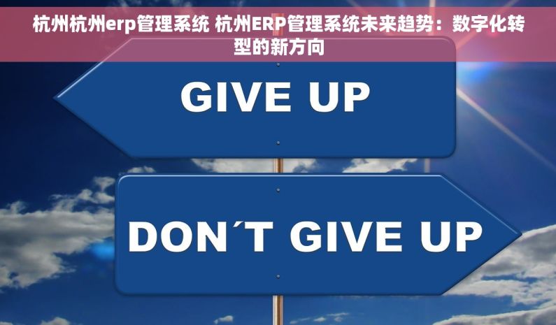 杭州杭州erp管理系统 杭州ERP管理系统未来趋势：数字化转型的新方向