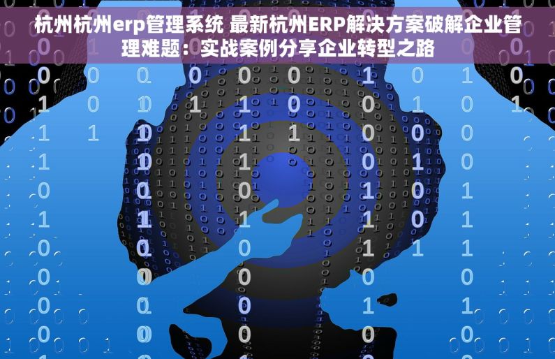 杭州杭州erp管理系统 最新杭州ERP解决方案破解企业管理难题：实战案例分享企业转型之路
