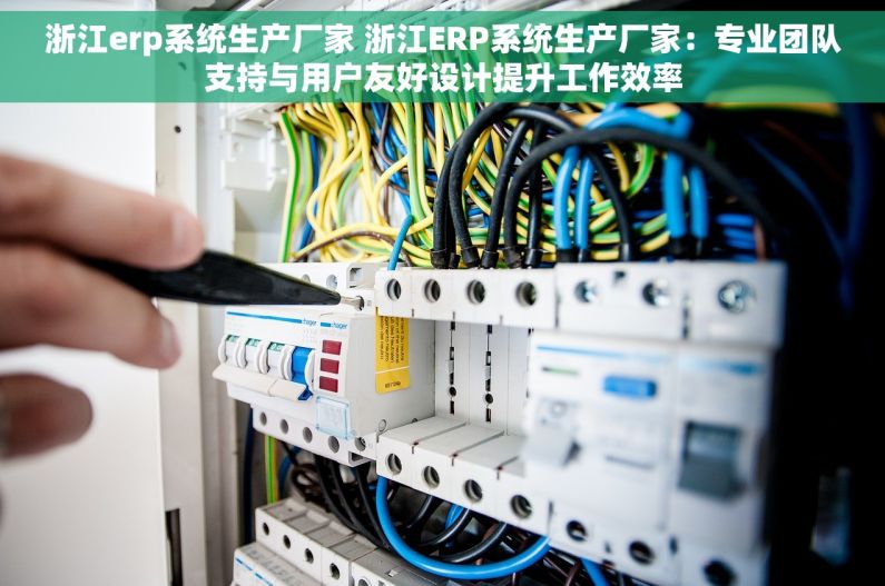 浙江erp系统生产厂家 浙江ERP系统生产厂家：专业团队支持与用户友好设计提升工作效率