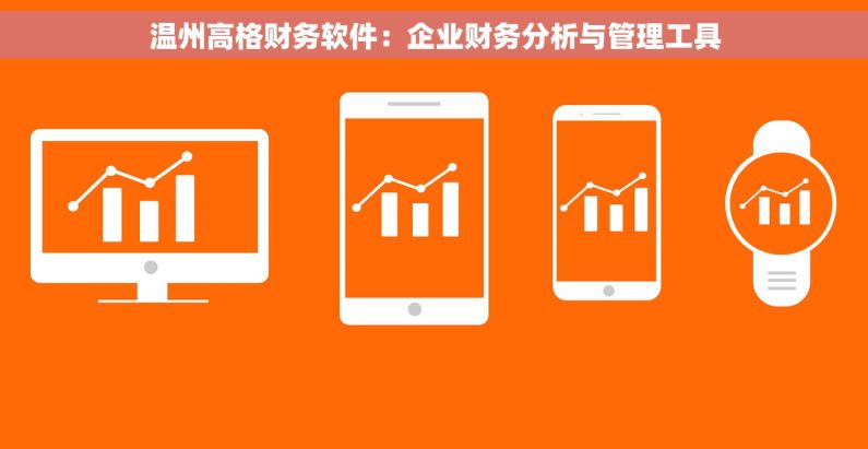 温州高格财务软件：企业财务分析与管理工具