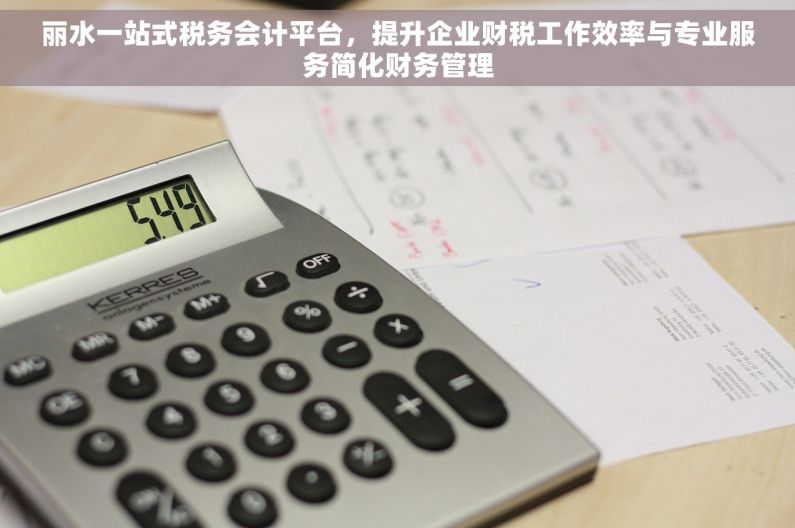 丽水一站式税务会计平台，提升企业财税工作效率与专业服务简化财务管理