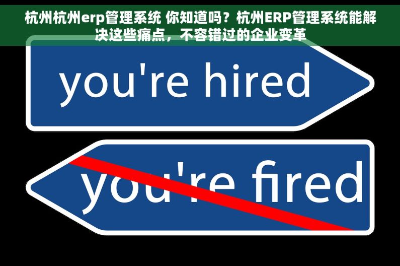 杭州杭州erp管理系统 你知道吗？杭州ERP管理系统能解决这些痛点，不容错过的企业变革