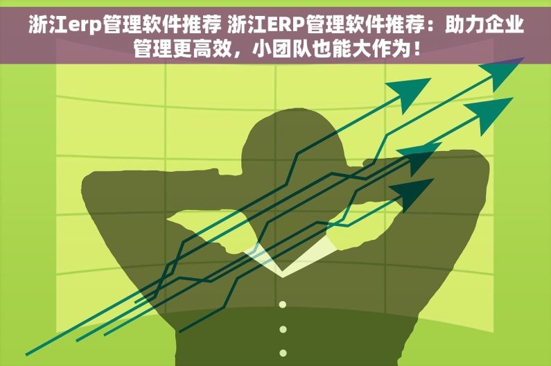 浙江erp管理软件推荐 浙江ERP管理软件推荐：助力企业管理更高效，小团队也能大作为！