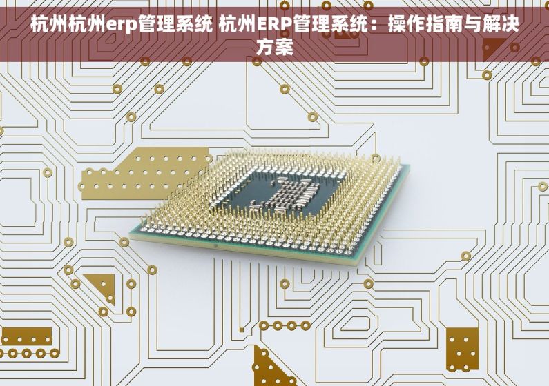 杭州杭州erp管理系统 杭州ERP管理系统：操作指南与解决方案