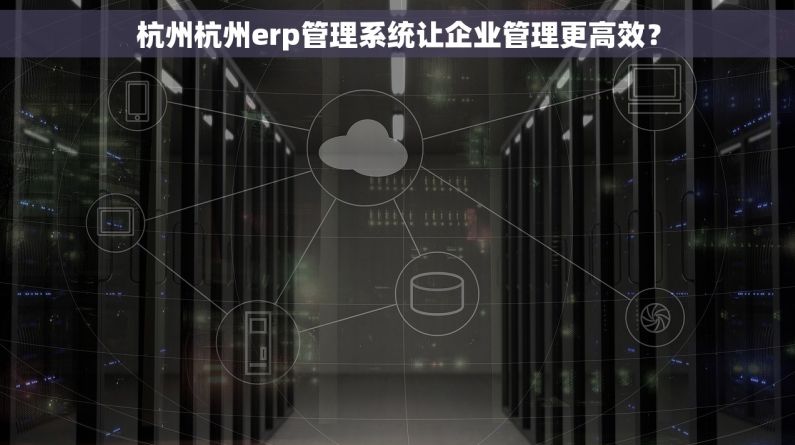 杭州杭州erp管理系统让企业管理更高效？