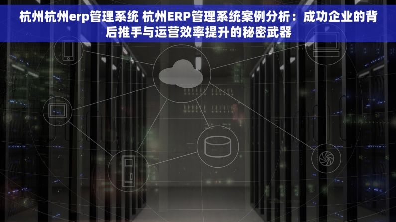 杭州杭州erp管理系统 杭州ERP管理系统案例分析：成功企业的背后推手与运营效率提升的秘密武器