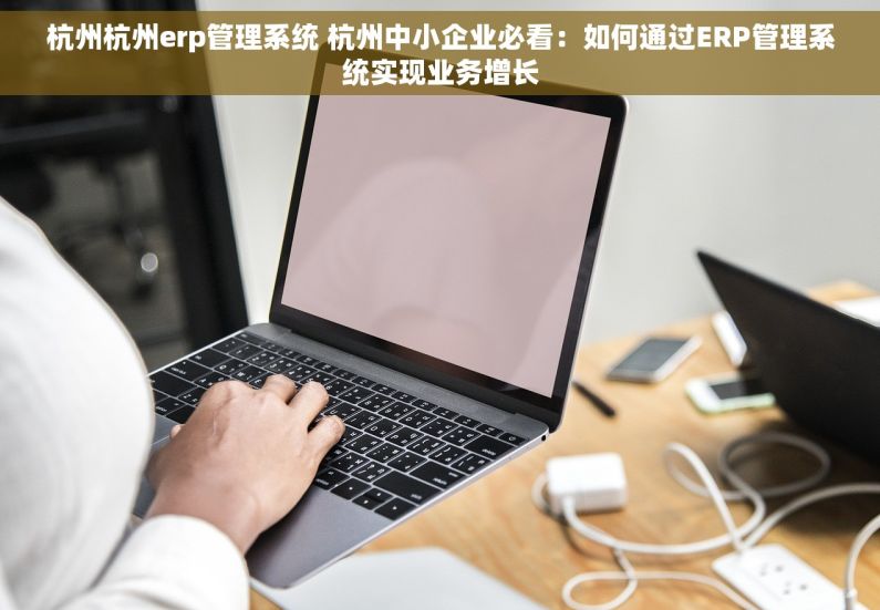 杭州杭州erp管理系统 杭州中小企业必看：如何通过ERP管理系统实现业务增长