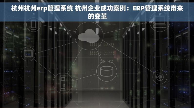 杭州杭州erp管理系统 杭州企业成功案例：ERP管理系统带来的变革