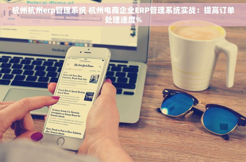 杭州杭州erp管理系统 杭州电商企业ERP管理系统实战：提高订单处理速度%