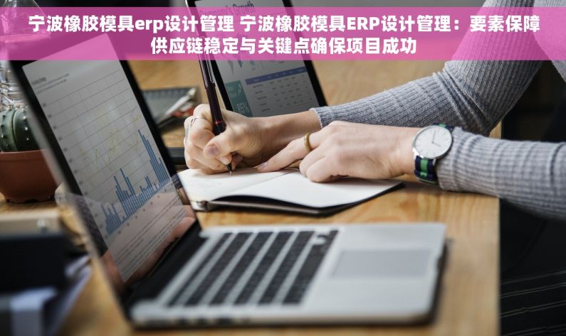 宁波橡胶模具erp设计管理 宁波橡胶模具ERP设计管理：要素保障供应链稳定与关键点确保项目成功