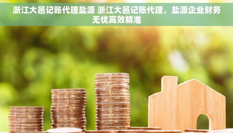 浙江大邑记账代理盐源 浙江大邑记账代理，盐源企业财务无忧高效精准