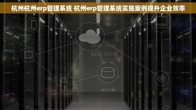杭州杭州erp管理系统 杭州erp管理系统实施案例提升企业效率
