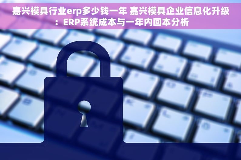 嘉兴模具行业erp多少钱一年 嘉兴模具企业信息化升级：ERP系统成本与一年内回本分析