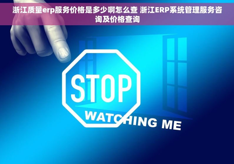 浙江质量erp服务价格是多少啊怎么查 浙江ERP系统管理服务咨询及价格查询