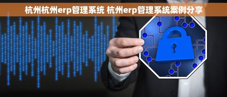 杭州杭州erp管理系统 杭州erp管理系统案例分享