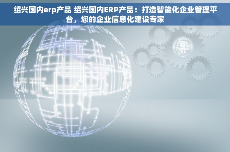 绍兴国内erp产品 绍兴国内ERP产品：打造智能化企业管理平台，您的企业信息化建设专家