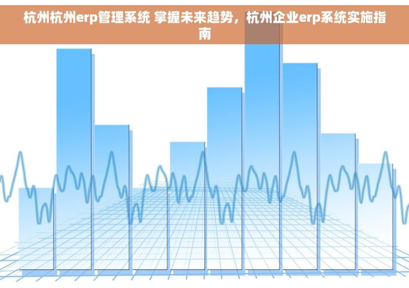 杭州杭州erp管理系统 掌握未来趋势，杭州企业erp系统实施指南