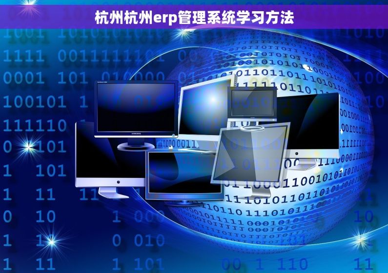杭州杭州erp管理系统学习方法