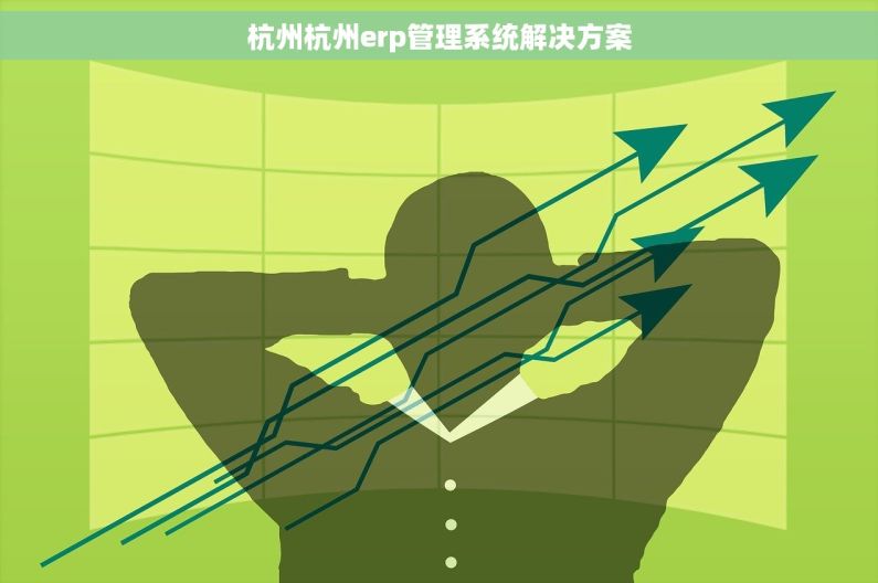 杭州杭州erp管理系统解决方案