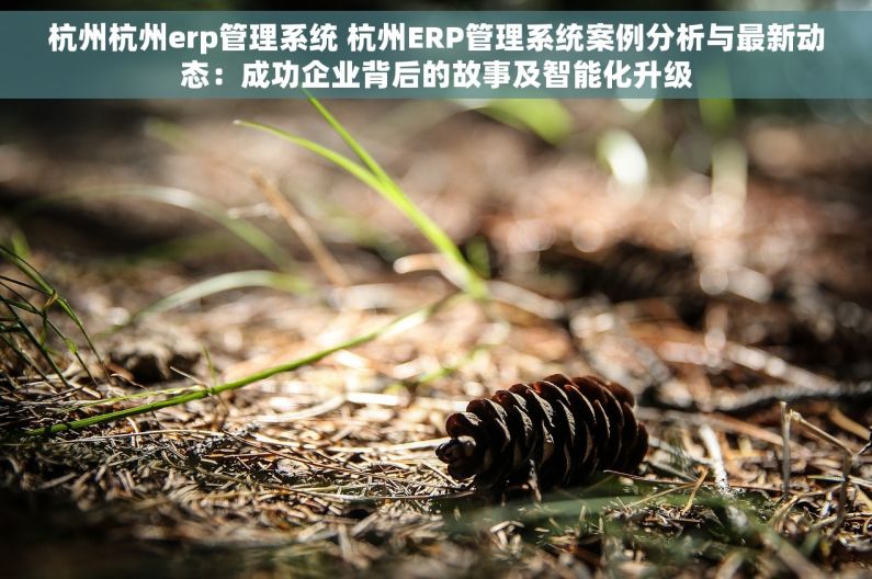 杭州杭州erp管理系统 杭州ERP管理系统案例分析与最新动态：成功企业背后的故事及智能化升级