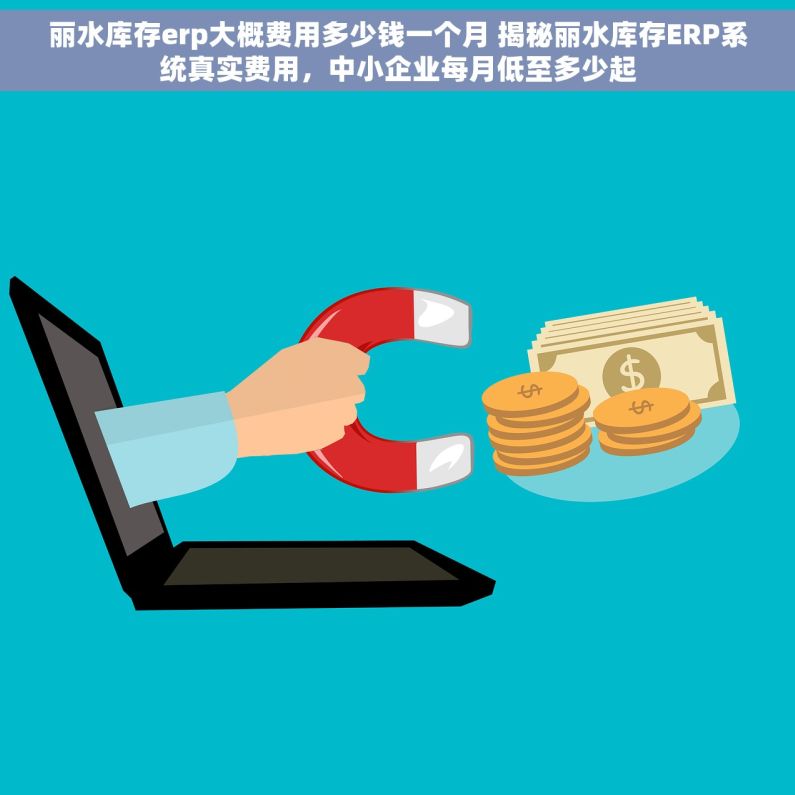 丽水库存erp大概费用多少钱一个月 揭秘丽水库存ERP系统真实费用，中小企业每月低至多少起