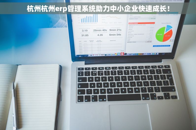 杭州杭州erp管理系统助力中小企业快速成长！
