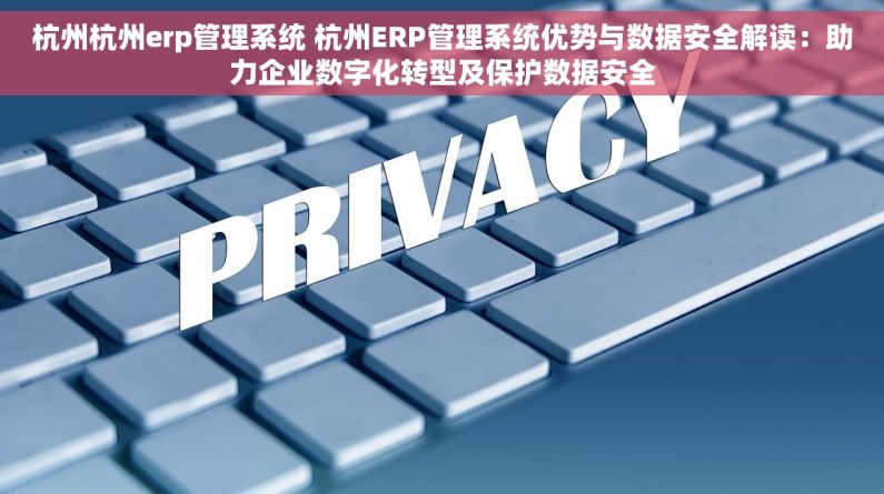 杭州杭州erp管理系统 杭州ERP管理系统优势与数据安全解读：助力企业数字化转型及保护数据安全