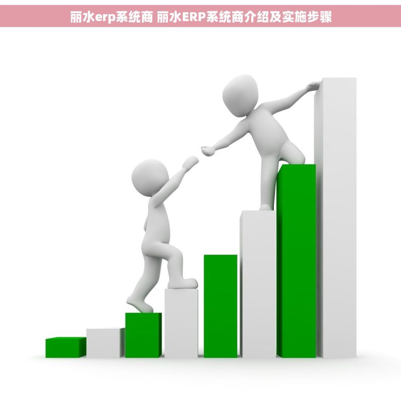 丽水erp系统商 丽水ERP系统商介绍及实施步骤