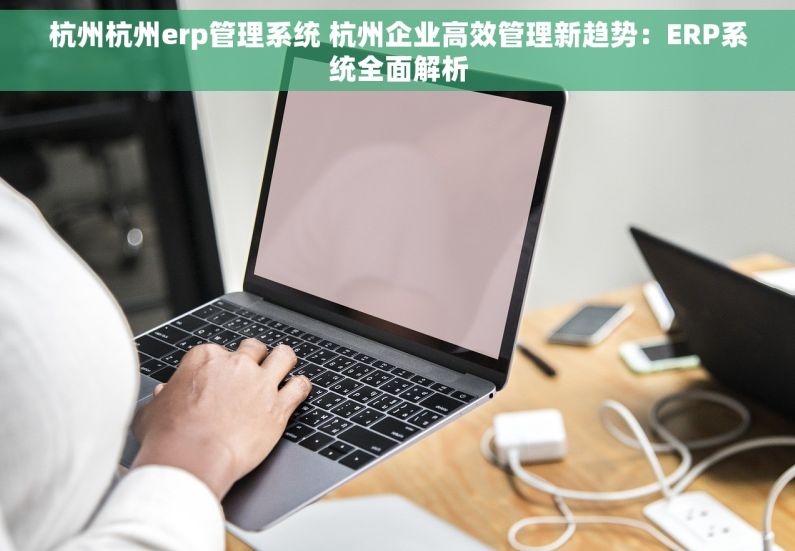 杭州杭州erp管理系统 杭州企业高效管理新趋势：ERP系统全面解析